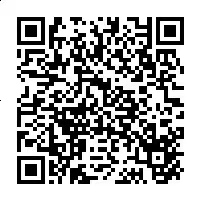 546329861.jpg